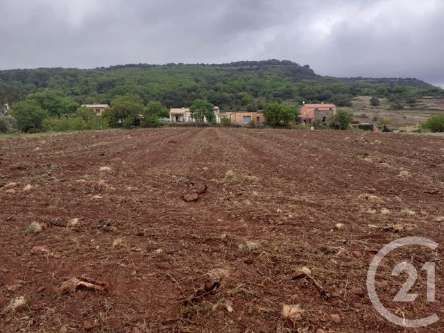 terrain - OCTON - 34