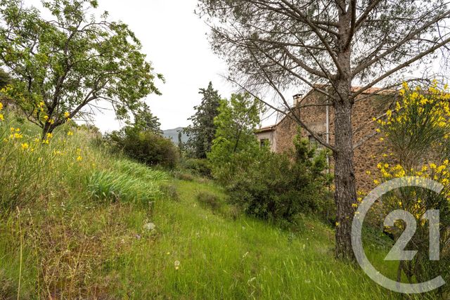 maison à vendre - 7 pièces - 221.3 m2 - OCTON - 34 - LANGUEDOC-ROUSSILLON - Century 21 Agi Immobilier