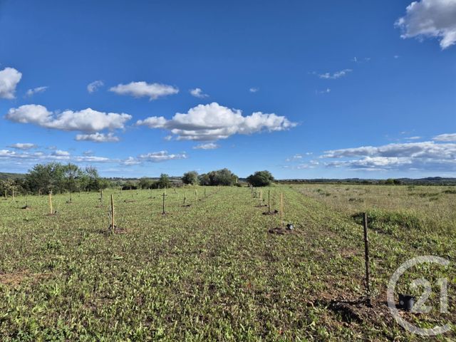 terrain à vendre - 2719.0 m2 - NEFFIES - 34 - LANGUEDOC-ROUSSILLON - Century 21 Agi Immobilier