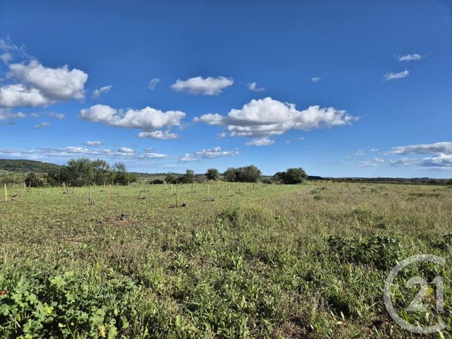 terrain à vendre - 2719.0 m2 - NEFFIES - 34 - LANGUEDOC-ROUSSILLON - Century 21 Agi Immobilier