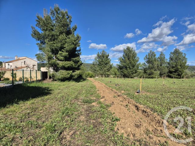 terrain - NEFFIES - 34