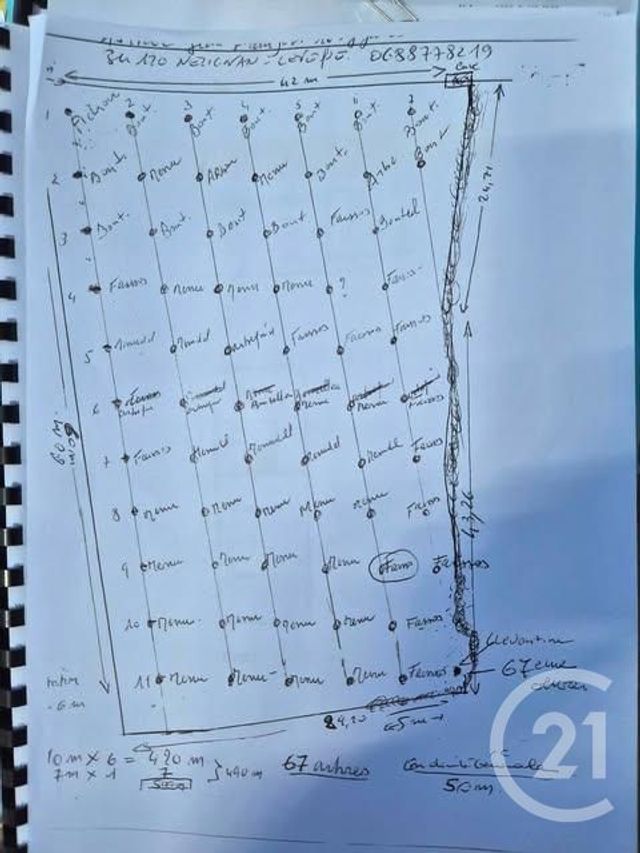 terrain à vendre - 2719.0 m2 - NEFFIES - 34 - LANGUEDOC-ROUSSILLON - Century 21 Agi Immobilier