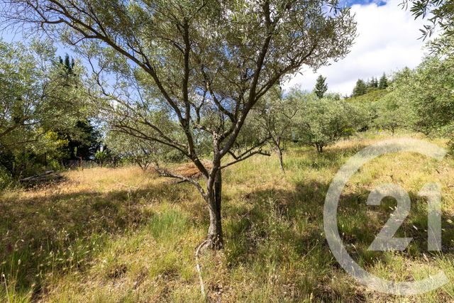maison à vendre - 6 pièces - 122.7 m2 - NEBIAN - 34 - LANGUEDOC-ROUSSILLON - Century 21 Agi Immobilier